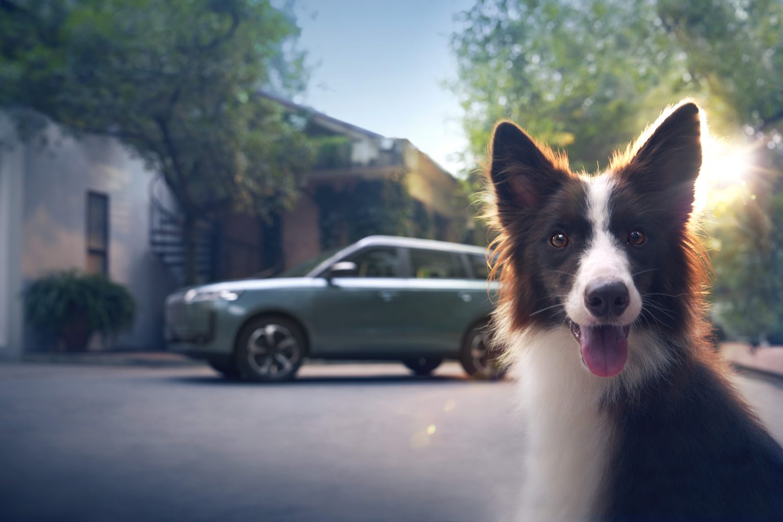 Animal de companie și Jaecoo 5